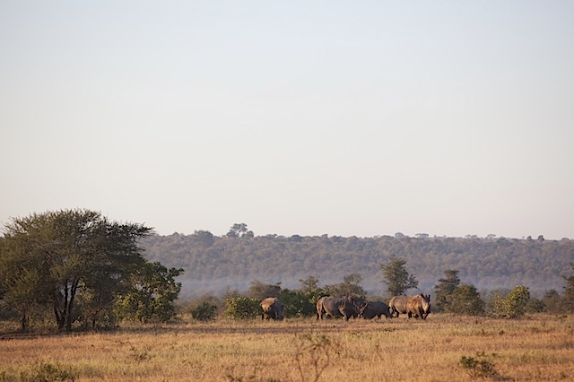 southafrica-57-1.jpg