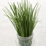 chives-in-vase