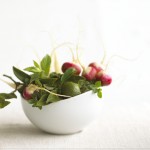raddish-bowl-jpg-1