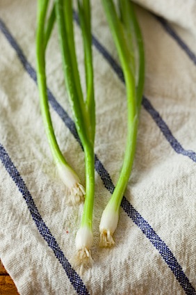 CE_ScallionViniagrette-16.jpg