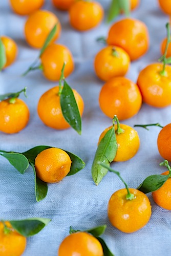CE Blueberry Calamondin Marmalade-3.jpg