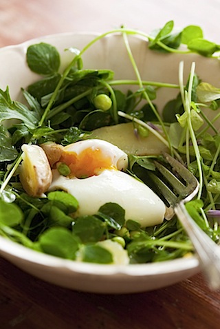 CE Pea Shoot Salad-12.jpg