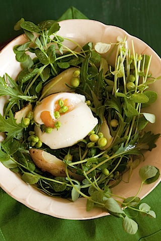 CE Pea Shoot Salad-3.jpg