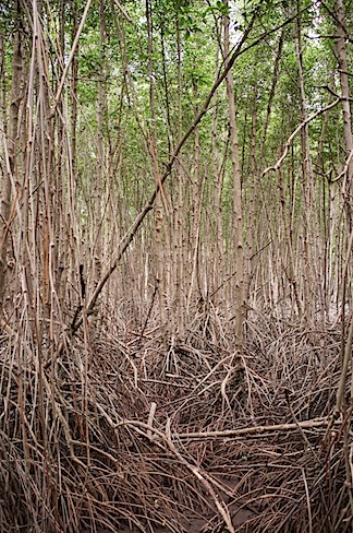 DSCF0433.jpg